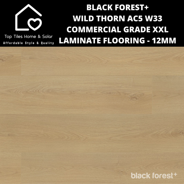 Black Forest+ Wild Thorn AC5 W33 Commercial Grade XXL Laminate Flooring - 12mm