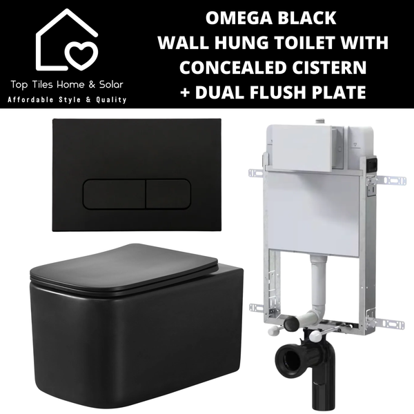 Omega Black Wall Hung Toilet With Riifo Concealed Cistern & Square Dual Flush Plate