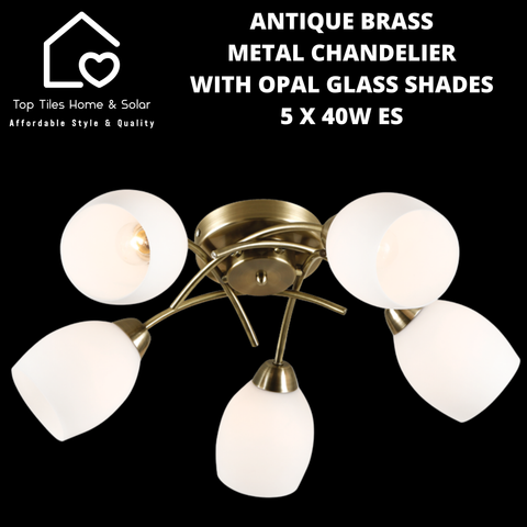 Antique Brass Metal Chandelier with Opal Glass Shades - 5 x 40W ES