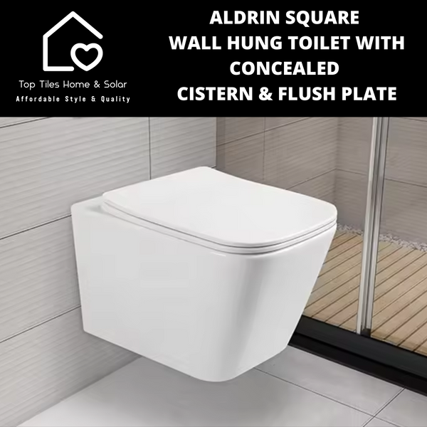 Aldrin White Wall Hung Toilet with Vitra Concealed Cistern & Flush Plate