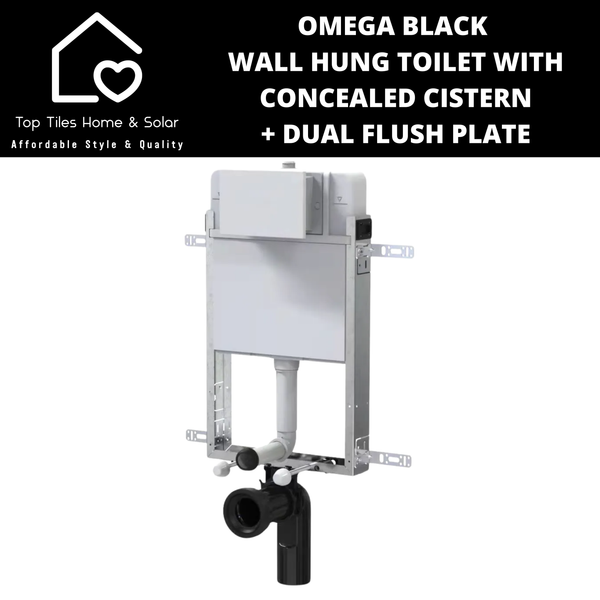 Omega Black Wall Hung Toilet With Riifo Concealed Cistern & Square Dual Flush Plate