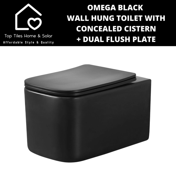 Omega Black Wall Hung Toilet With Riifo Concealed Cistern & Square Dual Flush Plate