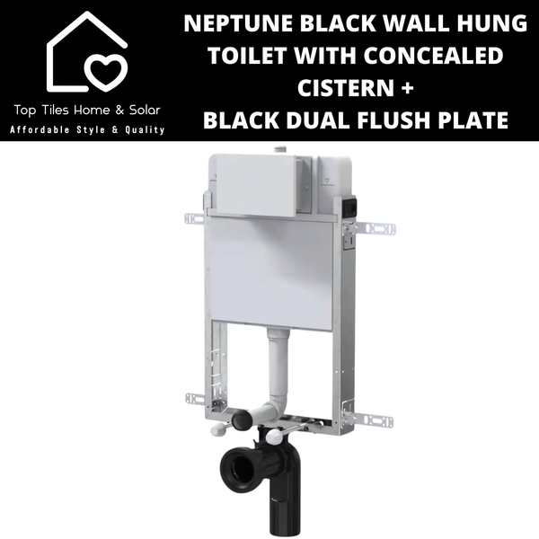 Neptune Black Wall Hung Toilet With Riifo Concealed Cistern & Black Dual Flush Plate