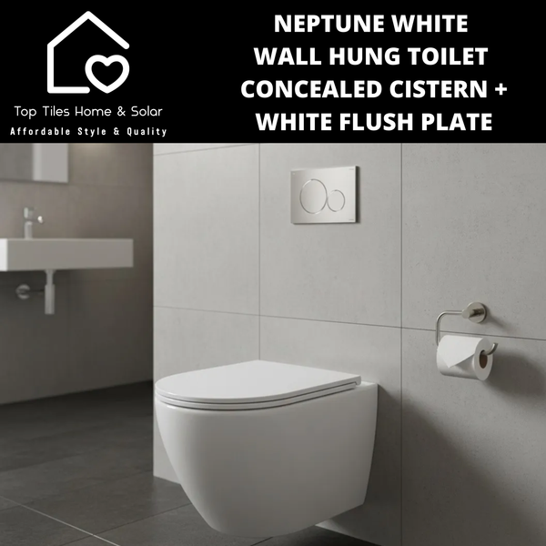 Neptune White Wall Hung Toilet With Concealed Cistern & Dual Flush Plate