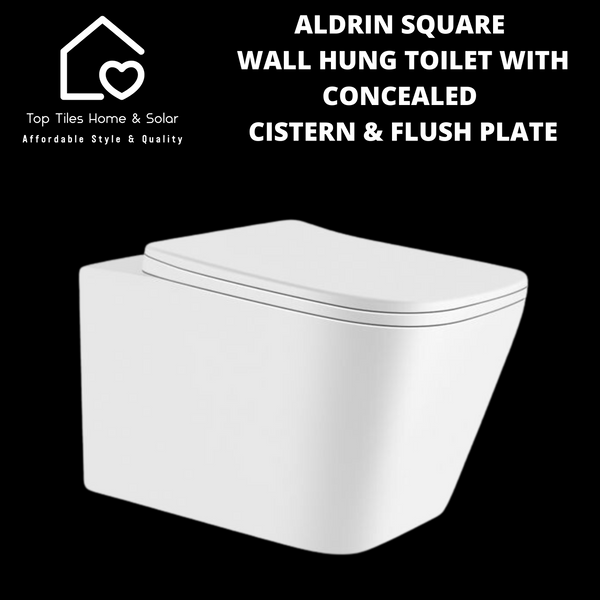 Aldrin White Wall Hung Toilet with Vitra Concealed Cistern & Flush Plate