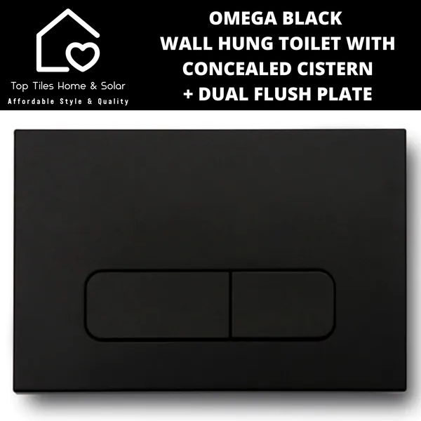 Omega Black Wall Hung Toilet With Riifo Concealed Cistern & Square Dual Flush Plate
