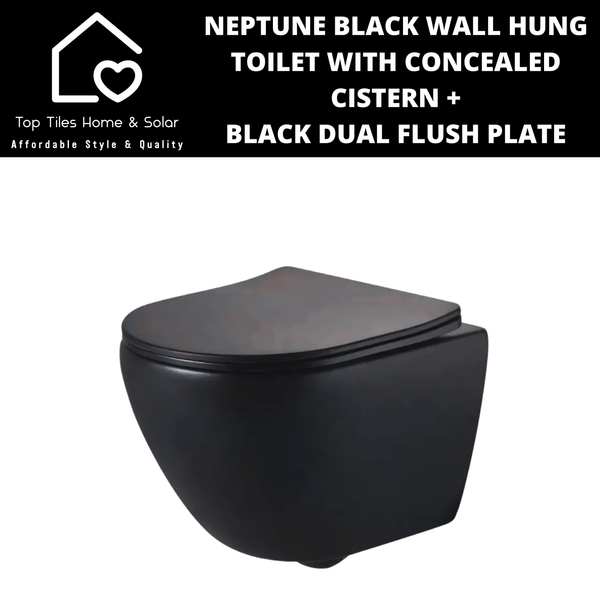 Neptune Black Wall Hung Toilet With Riifo Concealed Cistern & Black Dual Flush Plate