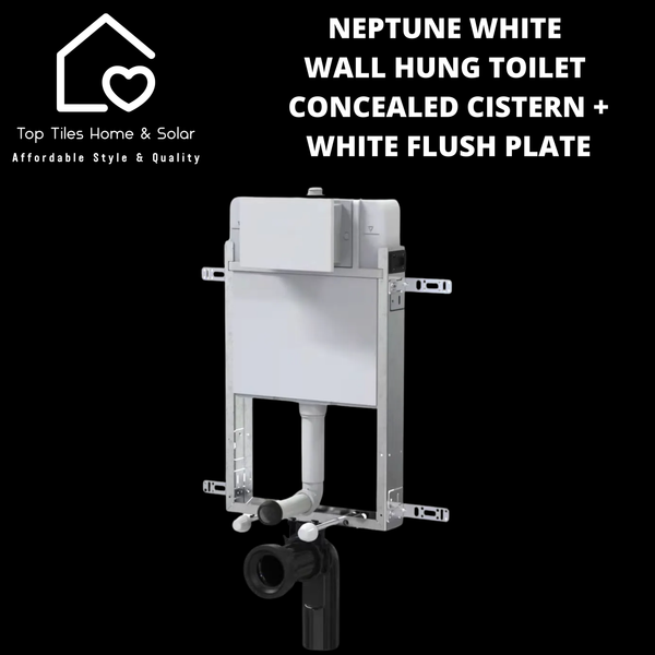 Neptune White Wall Hung Toilet With Concealed Cistern & Dual Flush Plate
