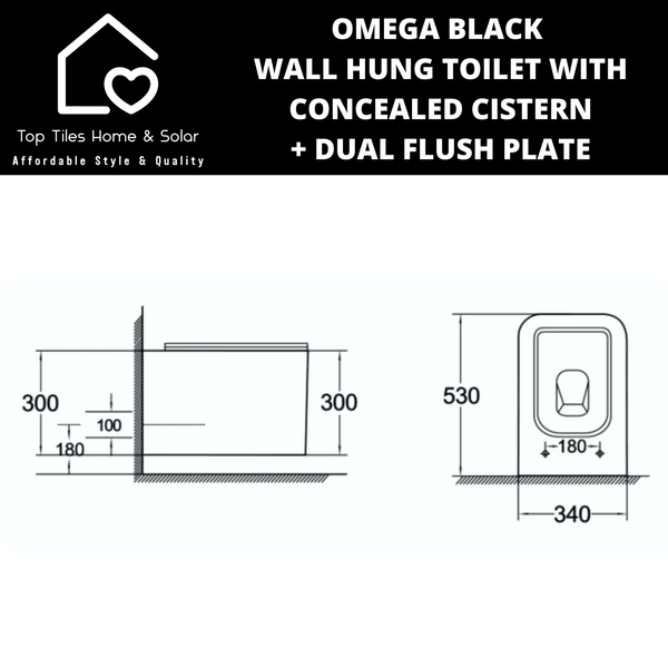 Omega Black Wall Hung Toilet With Riifo Concealed Cistern & Square Dual Flush Plate
