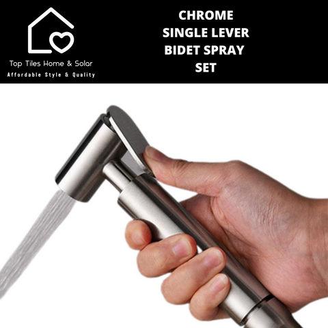 Stainless Steel Wall Mount Hand Held Bidet Spray